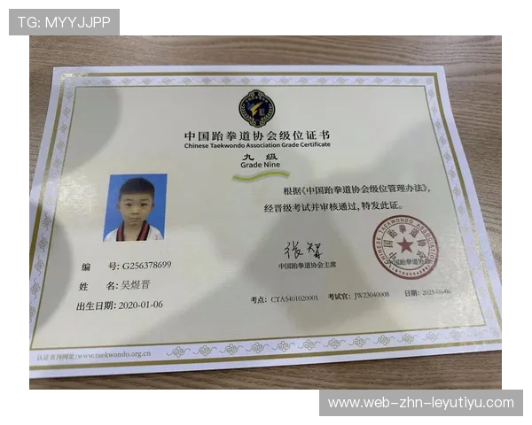 跆拳道学院完善青少年训练内容与等级考核标准,中国青少年跆拳道段位查询 跆拳道学院完善青少年训练内容与等级考核标准,中国青少年跆拳道段位查询