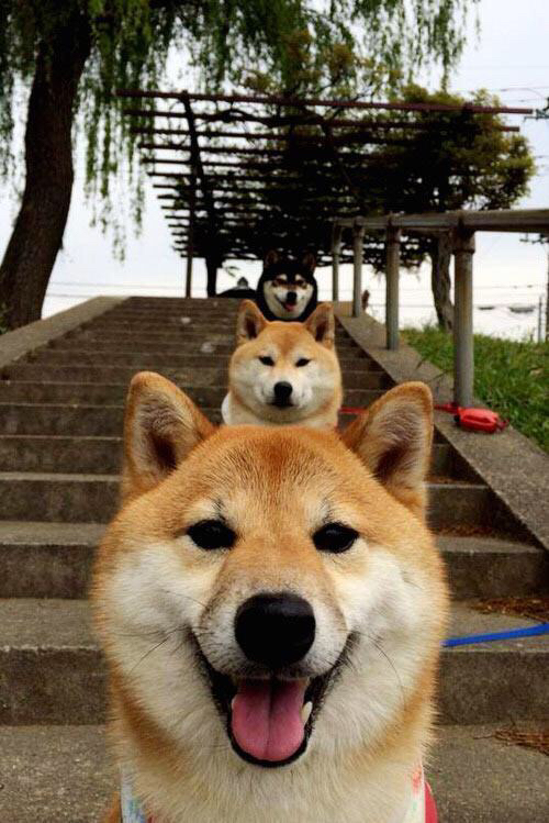 国家冬季项目发展中心发布滑雪运动员测试结果,国家滑雪队集训名单