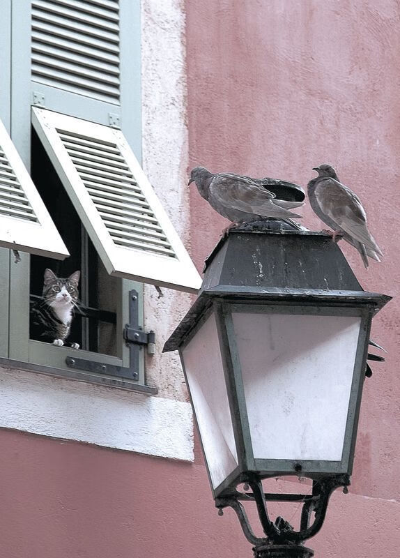 乐鱼体育官网优惠-欧洲杯决赛：点球大战中逆转的经典时刻，欧洲杯决赛点球大战完整版